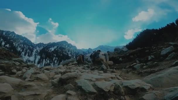 Kış Zamanı Şehrinin Teması Üzerine Görüş — Stok video