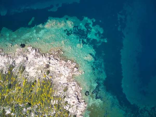 Vista Aerea Superiore Della Costa Rocciosa Con Fiori Gialli Incredibile — Foto Stock