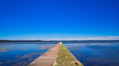 A scenic view of a long jetty in Tuggerah lake under a clear blue sky clipart