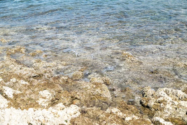 Una Costa Rocciosa Con Acque Calme Limpide Nella Penisola Istriana — Foto Stock