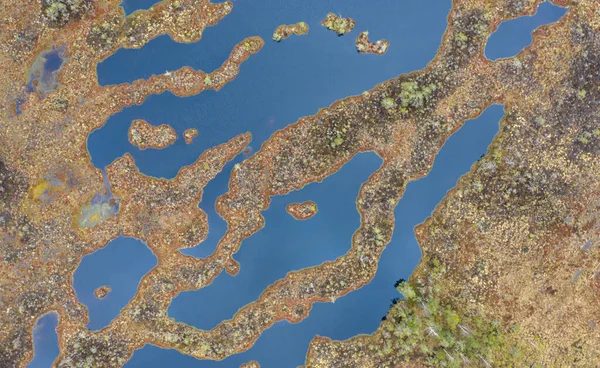 그대로 토니아 라트비아 지대의 완두콩 웅덩이와 산등성 패턴을 위에서 내려다볼 — 스톡 사진