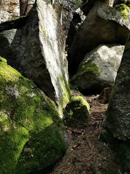 ノルウェー ラルヴィクの緑の苔に覆われた岩の垂直ショット — ストック写真