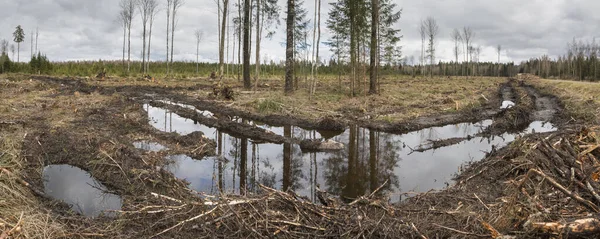 Vista Panorámica Con Las Profundas Pistas Llenas Agua Borde Enorme — Foto de Stock