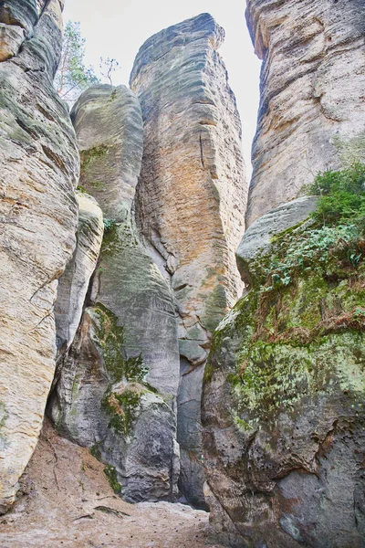 Formaciones Rocosas Arenisca Prachovske Skaly Cerca Jicin Excursionistas Escaladores Paraíso —  Fotos de Stock