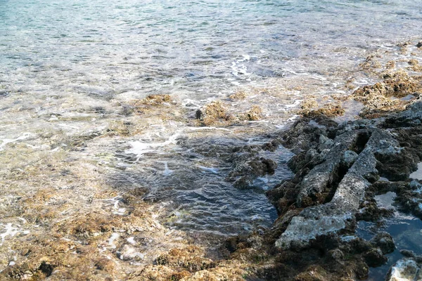 Skalnaté Pobřeží Klidnou Čistou Vodou Poloostrově Istrie Vrsaru Chorvatsko — Stock fotografie
