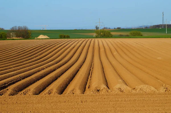 Campo Batata Acabado Preparar Perto Frankfurt Solo Loess Ocre Marrom — Fotografia de Stock