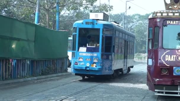Bonde Correndo Pelo Maidan Uma Manhã Ensolarada Kolkata Bengala Ocidental — Vídeo de Stock