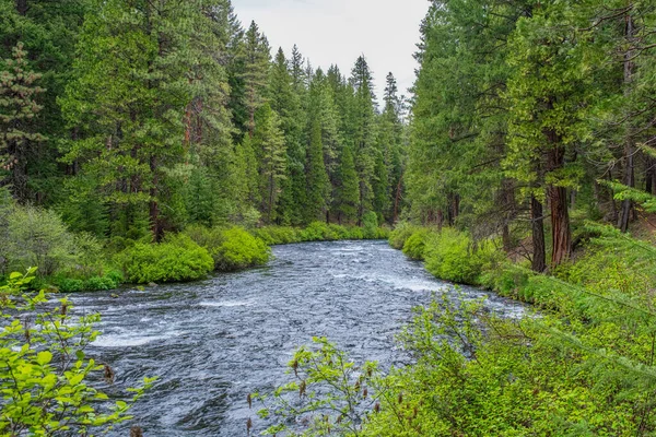 美国俄勒冈州风景秀丽的落叶森林中流淌的梅托利斯河景观 — 图库照片