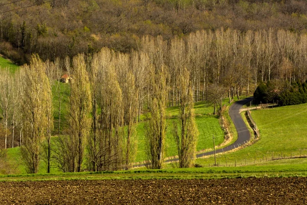 Hermoso Plano Camino Una Escena Rural — Foto de Stock