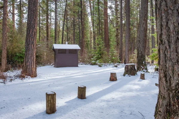 Small Cabin Winter Forest Camp Sherman Oregon Usa — Stock Photo, Image