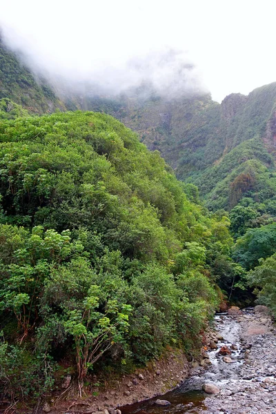 Parque Estadual Vale Iao Ilha Havaiana Maui — Fotografia de Stock