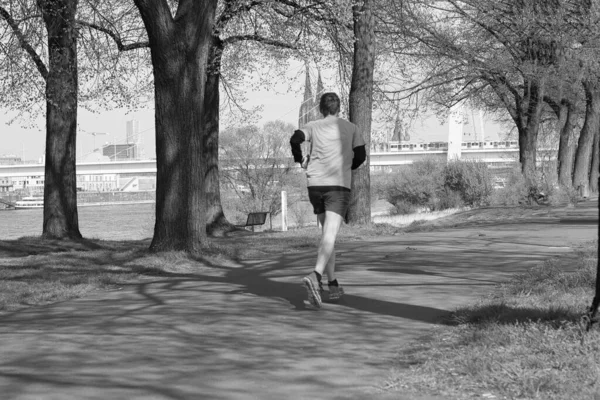 Een Grijsaard Van Jogging Man Het Park — Stockfoto