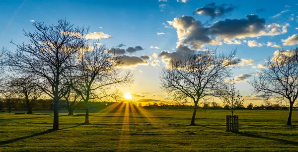 Boş Yeşil Bir Tarlanın Geniş Bir Görüntüsü Yapraksız Ağaçlar Arka — Stok fotoğraf