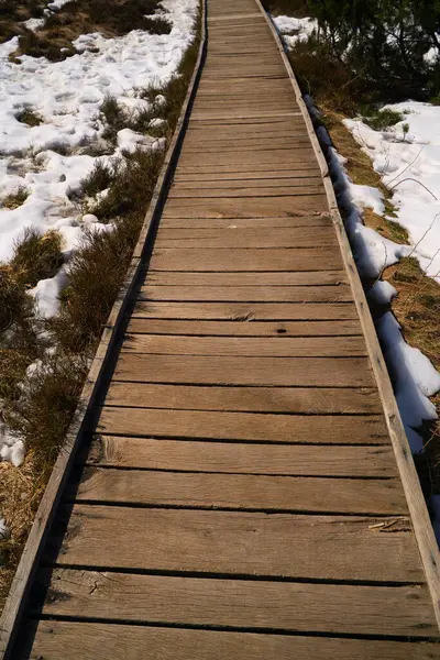 Eine Vertikale Aufnahme Eines Holzstegs Einem Schneebedeckten Feld Sonnenlicht — Stockfoto