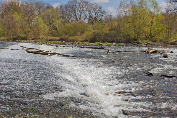 Der Schnelle Fluss Trägt Äste Weg — Stockfoto