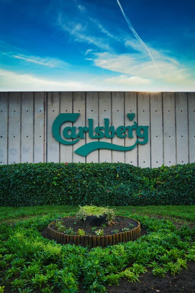 Logotipo Carlsberg Una Pared Northampton Reino Unido Hierba Visible Frontal — Foto de Stock