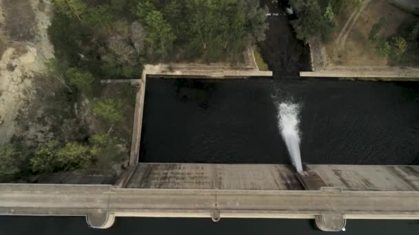 Zeitlupe Eines Staudamms Auf Einem Fluss Umgeben Von Viel Grün — Stockvideo