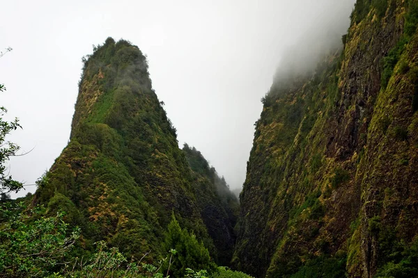 ハワイ州マウイ島のイアオ渓谷州立公園の有名なイアオ ニードル — ストック写真