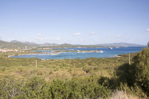 Aerial Shot Bay Yachts Green Forests Foreground — Stock Photo, Image