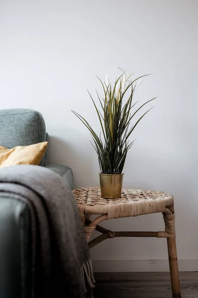 Vertical Shot Nice Stand Houseplant Sofa — Stock Photo, Image