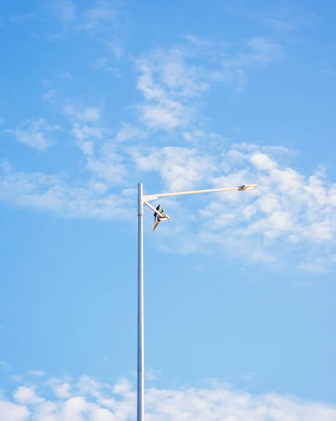 Una Vista Natural Dos Rupiah Birds Posados Una Luz Calle —  Fotos de Stock