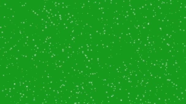 Filmato Neve Caduta Uno Schermo Verde — Video Stock