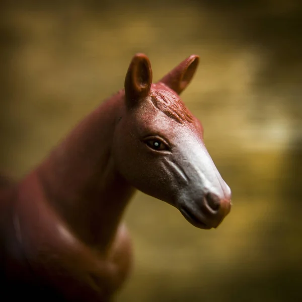 Eine Nahaufnahme Von Einem Pferd — Stockfoto