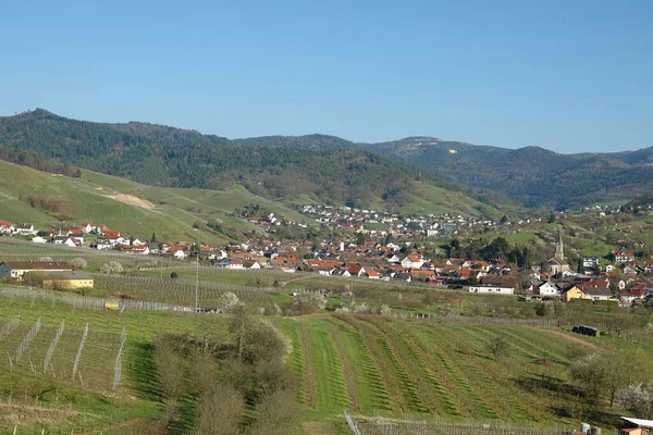 Aufnahme Einer Schönen Kleinstadt Einem Von Weinbergen Umgebenen Tal Schwarzwald — Stockfoto
