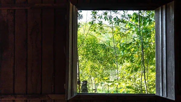 一扇木制窗户打开 可以看到美丽而明亮的绿色森林景象 — 图库照片