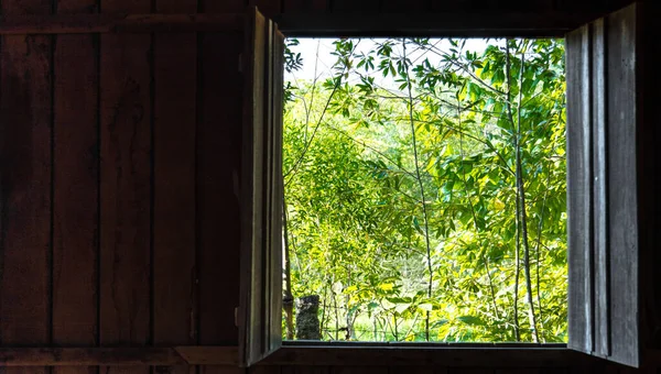 Een Houten Raam Opende Een Prachtige Heldergroene Bos Scène Onthullen — Stockfoto