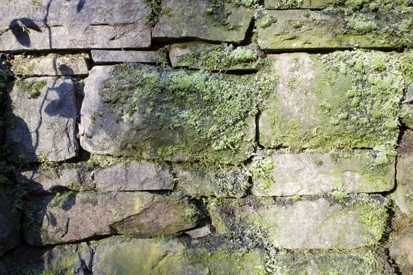 Wall Weathered Moss Covered Stones Stacked Each Other — Stock Photo, Image