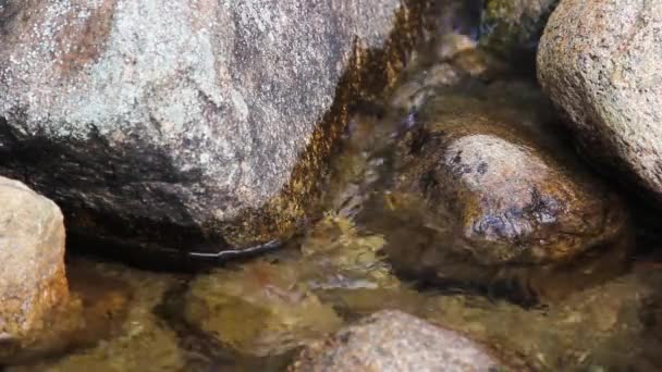 Mur Pierre Avec Des Pierres Des Roches — Video