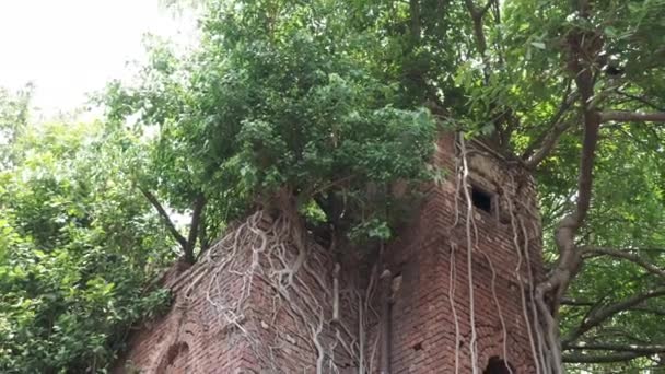 Una Casa Abandonada Ruinas Utilizada Por Los Zamindares Bengala Calcuta — Vídeos de Stock