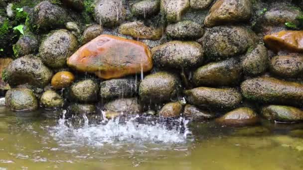 Vacker Utsikt Över Naturen — Stockvideo