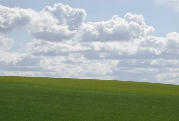 青空の下 大きなふわふわの雲の下に広がる緑の丘 — ストック写真