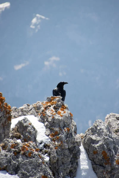 Tiro Ângulo Baixo Uma Massa Alpina Empoleirada Uma Montanha Coberta — Fotografia de Stock