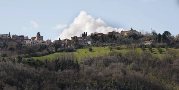 Primo Piano Campo Verde Alberi Con Alloggi Urbani Sullo Sfondo — Foto Stock