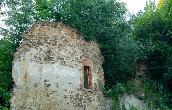 Ruínas Abandonadas Edifício Medieval Superado Com Plantas — Fotografia de Stock