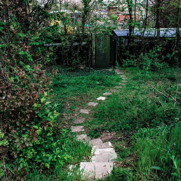 Ein Schmaler Weg Mit Steinen Hausgarten — Stockfoto
