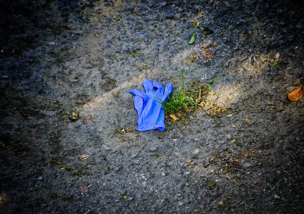 Par Guantes Goma Azules Dispuestos Suelo Parque —  Fotos de Stock