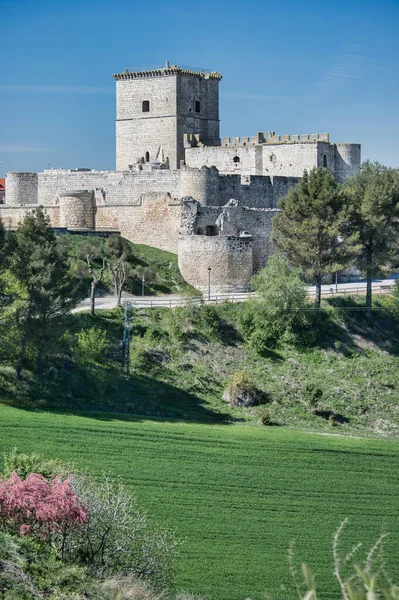 Ένα Κοντινό Πλάνο Του Μεσαιωνικού Κάστρου Του Portillo Στο Φόντο — Φωτογραφία Αρχείου