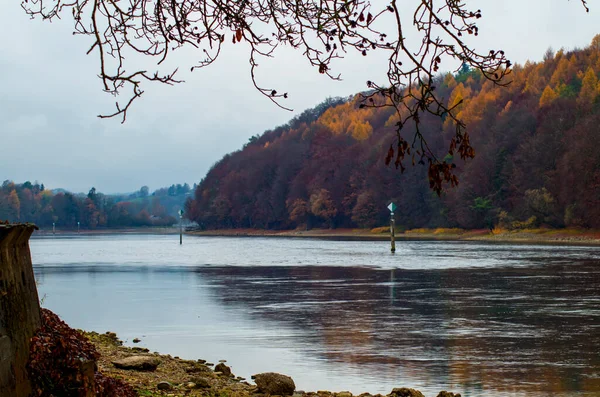 紅葉の美しい森に囲まれた美しい秋の湖 — ストック写真