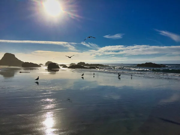 Eine Atemberaubende Aufnahme Eines Meeres Mit Vögeln Und Himmel Hintergrund — Stockfoto