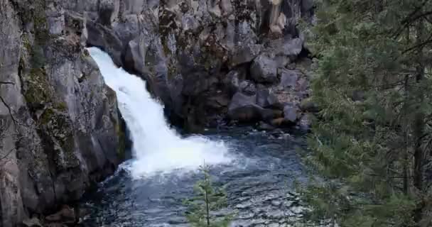 Hermosa Cascada Bosque — Vídeos de Stock