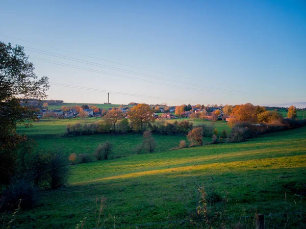 Campo Pastizales Verde Fresco Con Árboles Bajo Cielo Azul Claro —  Fotos de Stock