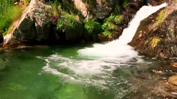 Malý Vodopád Zelených Horách — Stock video