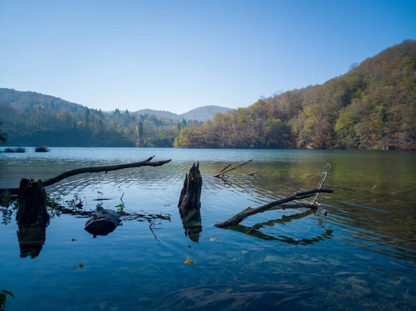 Spokojny Widok Jezioro Gałęziami Drzew Tle Wzgórz Pokrytych Drzewami — Zdjęcie stockowe