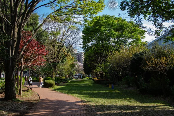 Beau Parc Avec Une Route Étroite Des Gens Qui Marchent — Photo