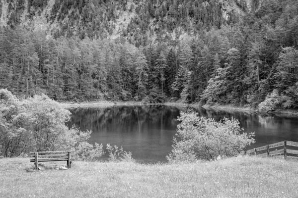 Tiro Tons Cinza Uma Colina Florestada Refletida Lago — Fotografia de Stock