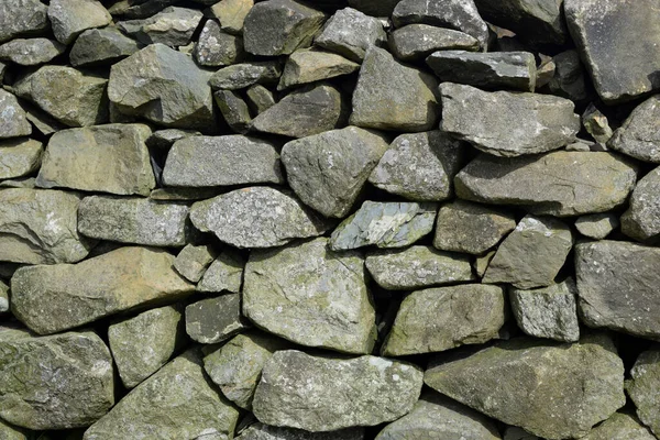 Mossy Stone Wall Texture — Stock Photo, Image